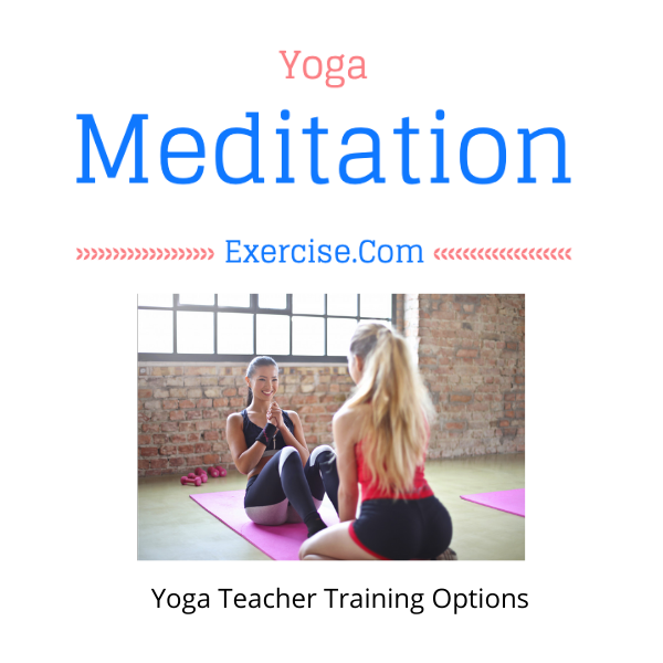 Yoga Teacher Training Options